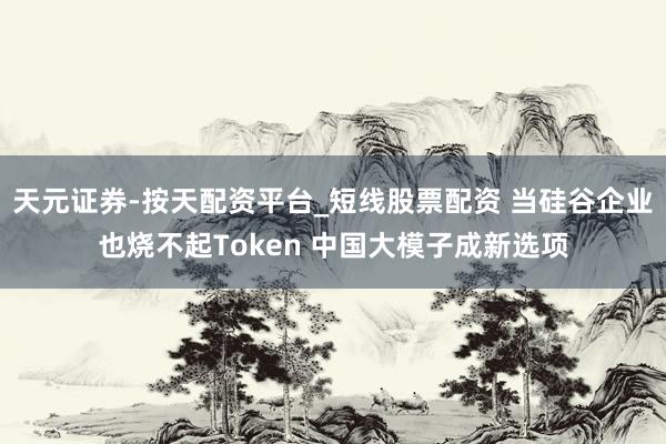 天元证券-按天配资平台_短线股票配资 当硅谷企业也烧不起Token 中国大模子成新选项